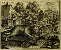 Picture 89 of 128 from Vorstelijcke warande der dieren : waer in de zeden-rijcke philosophie, poëtisch, morael, en historiael, vermakelijck en treffelijck wort voorgestelt : mit exempelen uyt de oude historien, in prose (1682), leaf 185