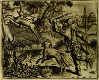 Picture 91 of 128 from Vorstelijcke warande der dieren : waer in de zeden-rijcke philosophie, poëtisch, morael, en historiael, vermakelijck en treffelijck wort voorgestelt : mit exempelen uyt de oude historien, in prose (1682), leaf 189
