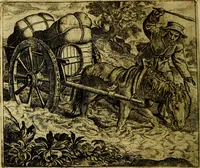 Picture 6 of 128 from Vorstelijcke warande der dieren : waer in de zeden-rijcke philosophie, poëtisch, morael, en historiael, vermakelijck en treffelijck wort voorgestelt : mit exempelen uyt de oude historien, in prose (1682), leaf 19