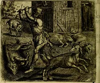 An illustration from Vorstelijcke warande der dieren : waer in de zeden-rijcke philosophie, poëtisch, morael, en historiael, vermakelijck en treffelijck wort voorgestelt : mit exempelen uyt de oude historien, in prose (1682)