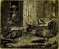 An illustration from Vorstelijcke warande der dieren : waer in de zeden-rijcke philosophie, poëtisch, morael, en historiael, vermakelijck en treffelijck wort voorgestelt : mit exempelen uyt de oude historien, in prose (1682)