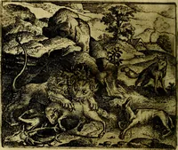 Picture 7 of 128 from Vorstelijcke warande der dieren : waer in de zeden-rijcke philosophie, poëtisch, morael, en historiael, vermakelijck en treffelijck wort voorgestelt : mit exempelen uyt de oude historien, in prose (1682), leaf 21