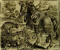 Picture 102 of 128 from Vorstelijcke warande der dieren : waer in de zeden-rijcke philosophie, poëtisch, morael, en historiael, vermakelijck en treffelijck wort voorgestelt : mit exempelen uyt de oude historien, in prose (1682), leaf 211