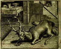 Picture 107 of 128 from Vorstelijcke warande der dieren : waer in de zeden-rijcke philosophie, poëtisch, morael, en historiael, vermakelijck en treffelijck wort voorgestelt : mit exempelen uyt de oude historien, in prose (1682), leaf 221