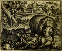 Picture 108 of 128 from Vorstelijcke warande der dieren : waer in de zeden-rijcke philosophie, poëtisch, morael, en historiael, vermakelijck en treffelijck wort voorgestelt : mit exempelen uyt de oude historien, in prose (1682), leaf 223