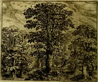 An illustration from Vorstelijcke warande der dieren : waer in de zeden-rijcke philosophie, poëtisch, morael, en historiael, vermakelijck en treffelijck wort voorgestelt : mit exempelen uyt de oude historien, in prose (1682)