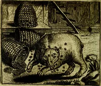 Picture 112 of 128 from Vorstelijcke warande der dieren : waer in de zeden-rijcke philosophie, poëtisch, morael, en historiael, vermakelijck en treffelijck wort voorgestelt : mit exempelen uyt de oude historien, in prose (1682), leaf 231