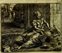An illustration from Vorstelijcke warande der dieren : waer in de zeden-rijcke philosophie, poëtisch, morael, en historiael, vermakelijck en treffelijck wort voorgestelt : mit exempelen uyt de oude historien, in prose (1682)