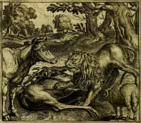 Picture 114 of 128 from Vorstelijcke warande der dieren : waer in de zeden-rijcke philosophie, poëtisch, morael, en historiael, vermakelijck en treffelijck wort voorgestelt : mit exempelen uyt de oude historien, in prose (1682), leaf 235
