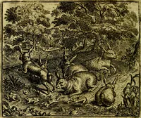 An illustration from Vorstelijcke warande der dieren : waer in de zeden-rijcke philosophie, poëtisch, morael, en historiael, vermakelijck en treffelijck wort voorgestelt : mit exempelen uyt de oude historien, in prose (1682)