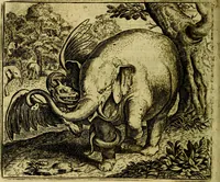 Picture 117 of 128 from Vorstelijcke warande der dieren : waer in de zeden-rijcke philosophie, poëtisch, morael, en historiael, vermakelijck en treffelijck wort voorgestelt : mit exempelen uyt de oude historien, in prose (1682), leaf 241