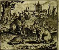 Picture 120 of 128 from Vorstelijcke warande der dieren : waer in de zeden-rijcke philosophie, poëtisch, morael, en historiael, vermakelijck en treffelijck wort voorgestelt : mit exempelen uyt de oude historien, in prose (1682), leaf 247