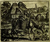 Picture 121 of 128 from Vorstelijcke warande der dieren : waer in de zeden-rijcke philosophie, poëtisch, morael, en historiael, vermakelijck en treffelijck wort voorgestelt : mit exempelen uyt de oude historien, in prose (1682), leaf 249