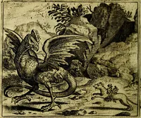 An illustration from Vorstelijcke warande der dieren : waer in de zeden-rijcke philosophie, poëtisch, morael, en historiael, vermakelijck en treffelijck wort voorgestelt : mit exempelen uyt de oude historien, in prose (1682)