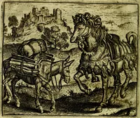 Picture 126 of 128 from Vorstelijcke warande der dieren : waer in de zeden-rijcke philosophie, poëtisch, morael, en historiael, vermakelijck en treffelijck wort voorgestelt : mit exempelen uyt de oude historien, in prose (1682), leaf 259
