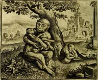 Picture 10 of 128 from Vorstelijcke warande der dieren : waer in de zeden-rijcke philosophie, poëtisch, morael, en historiael, vermakelijck en treffelijck wort voorgestelt : mit exempelen uyt de oude historien, in prose (1682), leaf 27