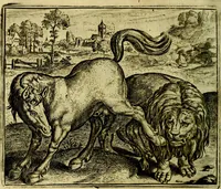 Picture 11 of 128 from Vorstelijcke warande der dieren : waer in de zeden-rijcke philosophie, poëtisch, morael, en historiael, vermakelijck en treffelijck wort voorgestelt : mit exempelen uyt de oude historien, in prose (1682), leaf 29
