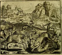 An illustration from Vorstelijcke warande der dieren : waer in de zeden-rijcke philosophie, poëtisch, morael, en historiael, vermakelijck en treffelijck wort voorgestelt : mit exempelen uyt de oude historien, in prose (1682)