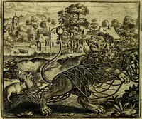 Picture 15 of 128 from Vorstelijcke warande der dieren : waer in de zeden-rijcke philosophie, poëtisch, morael, en historiael, vermakelijck en treffelijck wort voorgestelt : mit exempelen uyt de oude historien, in prose (1682), leaf 37