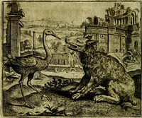 Picture 18 of 128 from Vorstelijcke warande der dieren : waer in de zeden-rijcke philosophie, poëtisch, morael, en historiael, vermakelijck en treffelijck wort voorgestelt : mit exempelen uyt de oude historien, in prose (1682), leaf 43
