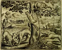 Picture 25 of 128 from Vorstelijcke warande der dieren : waer in de zeden-rijcke philosophie, poëtisch, morael, en historiael, vermakelijck en treffelijck wort voorgestelt : mit exempelen uyt de oude historien, in prose (1682), leaf 57