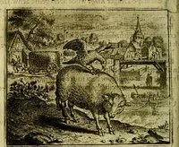 An illustration from Vorstelijcke warande der dieren : waer in de zeden-rijcke philosophie, poëtisch, morael, en historiael, vermakelijck en treffelijck wort voorgestelt : mit exempelen uyt de oude historien, in prose (1682)
