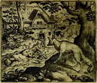 Picture 29 of 128 from Vorstelijcke warande der dieren : waer in de zeden-rijcke philosophie, poëtisch, morael, en historiael, vermakelijck en treffelijck wort voorgestelt : mit exempelen uyt de oude historien, in prose (1682), leaf 65