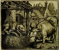 Picture 34 of 128 from Vorstelijcke warande der dieren : waer in de zeden-rijcke philosophie, poëtisch, morael, en historiael, vermakelijck en treffelijck wort voorgestelt : mit exempelen uyt de oude historien, in prose (1682), leaf 75