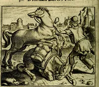 An illustration from Vorstelijcke warande der dieren : waer in de zeden-rijcke philosophie, poëtisch, morael, en historiael, vermakelijck en treffelijck wort voorgestelt : mit exempelen uyt de oude historien, in prose (1682)