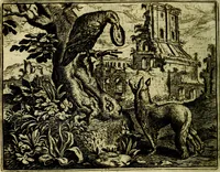 Picture 36 of 128 from Vorstelijcke warande der dieren : waer in de zeden-rijcke philosophie, poëtisch, morael, en historiael, vermakelijck en treffelijck wort voorgestelt : mit exempelen uyt de oude historien, in prose (1682), leaf 79