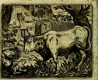 Picture 38 of 128 from Vorstelijcke warande der dieren : waer in de zeden-rijcke philosophie, poëtisch, morael, en historiael, vermakelijck en treffelijck wort voorgestelt : mit exempelen uyt de oude historien, in prose (1682), leaf 83