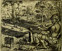 Picture 43 of 128 from Vorstelijcke warande der dieren : waer in de zeden-rijcke philosophie, poëtisch, morael, en historiael, vermakelijck en treffelijck wort voorgestelt : mit exempelen uyt de oude historien, in prose (1682), leaf 93