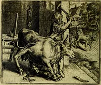 Picture 45 of 128 from Vorstelijcke warande der dieren : waer in de zeden-rijcke philosophie, poëtisch, morael, en historiael, vermakelijck en treffelijck wort voorgestelt : mit exempelen uyt de oude historien, in prose (1682), leaf 97