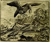 Picture 46 of 128 from Vorstelijcke warande der dieren : waer in de zeden-rijcke philosophie, poëtisch, morael, en historiael, vermakelijck en treffelijck wort voorgestelt : mit exempelen uyt de oude historien, in prose (1682), leaf 99