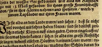 An illustration from Vorstellungen des Norden, oder Bericht von einigen Nordländern, und absonderlich vom dem so genandten Grünlande, : aus Schreibern, welche zu unterschiedenen Zeiten gelebet, auff guter Freunde begehren zusammen gezogen und dargereichet, auch endlich umb ferner zu betrachten, zu ändern und zu mehren (1675)