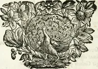 Picture 12 of 45 from Votum unanime Parnassi Salisburgensis deorum judicio et assensu approbatum, dum in celsiss.mum ac rever.mum S.R.I. Principem, Archiepiscopum Salisburgensem &c. &c. electus esset Joannes Ernestus è S.R.I. comitibus de Thun, Episcopus Seccoviensis (1687), leaf 33