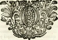 Picture 24 of 45 from Votum unanime Parnassi Salisburgensis deorum judicio et assensu approbatum, dum in celsiss.mum ac rever.mum S.R.I. Principem, Archiepiscopum Salisburgensem &c. &c. electus esset Joannes Ernestus è S.R.I. comitibus de Thun, Episcopus Seccoviensis (1687), leaf 63