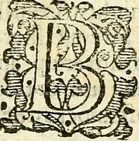 An illustration from Vox Borealis, or The northern discoverie: (1641)