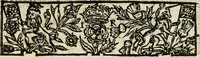 An illustration from Vox Borealis, or The northern discoverie: (1641)