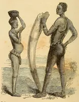 Picture 7 of 11 from Voyage dans le Sud-ouest de l'Afrique; ou, Récits d'explorations faites en 1861 et 1862 depuis la baie Valsich jusqu'aux chutes Victoria (1880), leaf 186