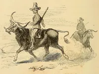 Picture 2 of 11 from Voyage dans le Sud-ouest de l'Afrique; ou, Récits d'explorations faites en 1861 et 1862 depuis la baie Valsich jusqu'aux chutes Victoria (1880), leaf 50