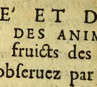 Picture 4 of 7 from Voyage de François Pyrard, de Laual. : Contenant sa navigation aux Indes orientales, Maldiues, Moluques, Bresil: les diuers accidens, aduentures & dangers qui luy sont arriuez en ce voyage, tant en allant & retourant, que pendant son sejour de dix ans en ce païs là. Avec la description des pays, moeurs, loix, façons de faire, police & gouuernement; du trafic & commerce qui s'y fait; des animaux, arbres, fruicts, & autres singularitez. Divisé en deux parties (1619), leaf 540