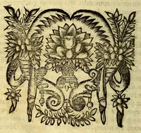 An illustration from Voyage des isles Camercanes. En l'Amerique. : Qui font partie des Indes occidentales. Et une relation diversifiee de plusieurs pensées pieuses, & d'agreables remarques tant de toute l'Amerique que des autres païs. Avec l'établissement des RR. PP. Carmes Reformez de la province de Touraine esdites isles: Et un discours de leur ordre. (1652)