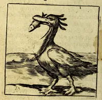 An illustration from Voyage des pays septentrionaux. : Dans lequel se void [sic] les moeurs, maniere de vivre, & superstitions des Norweguiens, Lappons, Kiloppes, Borandiens, Syberiens, Samojedes, Zembliens, & Islandois. (1676)