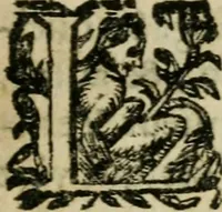 An illustration from Voyage d'Italie, de Dalmatie, de Grece, et du Levant : fait és années 1675 & 1676 (1678)