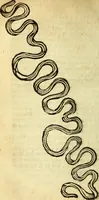 An illustration from Voyage d'Italie, de Dalmatie, de Grece, et du Levant : fait aux années 1675. & 1676. (1679)