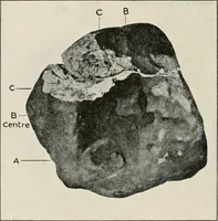 An illustration from A voyage in space; a course of six lectures "adapted to a juvenile auditory" delivered at the Royal Institution at Xmas 1913 (1915)