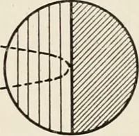 An illustration from A voyage in space; a course of six lectures "adapted to a juvenile auditory" delivered at the Royal Institution at Xmas 1913 (1915)