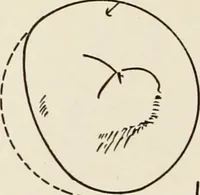 An illustration from A voyage in space; a course of six lectures "adapted to a juvenile auditory" delivered at the Royal Institution at Xmas 1913 (1915)