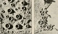 An illustration from A voyage in space; a course of six lectures "adapted to a juvenile auditory" delivered at the Royal Institution at Xmas 1913 (1915)